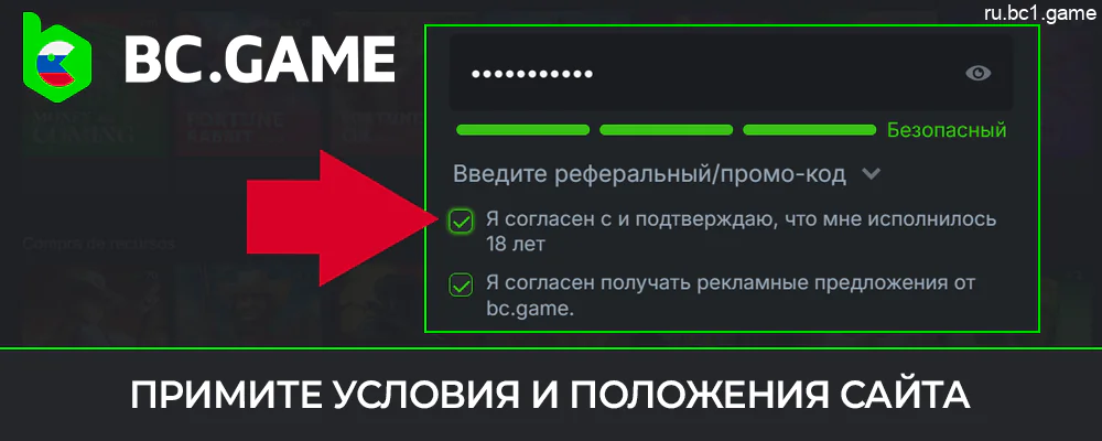 Примите условия и положения веб-сайта BC.Game