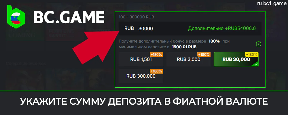 Укажите сумму депозита в фиате или переведите средства на указанный адрес в криптовалюте на BC.Game